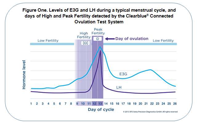 Levels of E3G and LH during a typical menstrual cycle