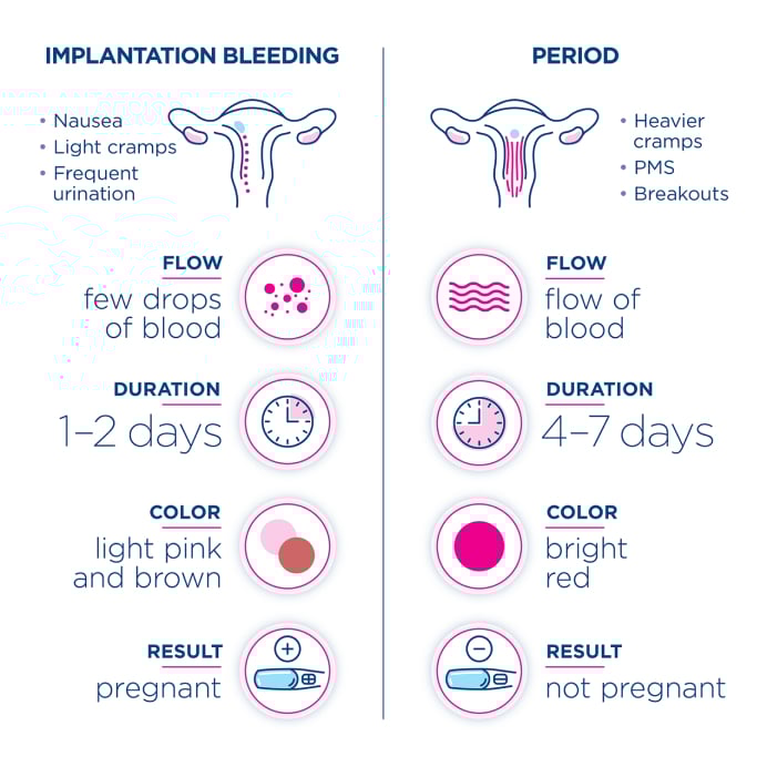 Infographic comparing the signs and symptoms to tell the difference of implantation bleeding and your period