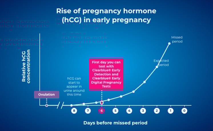 Graph about the rise of pregnancy hormone (hCG) in early pregnancy