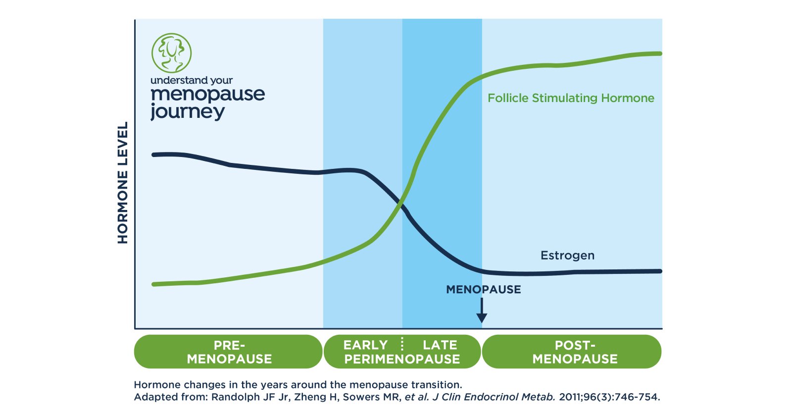 What to expect in perimenopause — Clearblue®