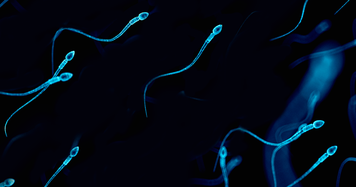 Signs of Low Sperm Count and Fertility Tips— Clearblue®