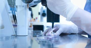 What is in vitro fertilization (IVF) and how does it work?