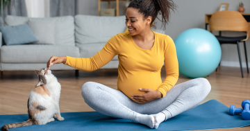 ​How to introduce your newborn to your cat: A guide for expecting parents 