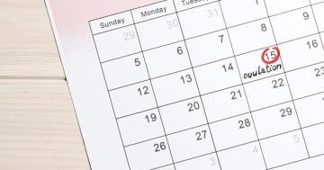When are you most fertile?