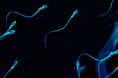 lower-sperm-count-article-header