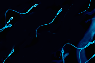 Signs of low sperm count and how it can affect fertility