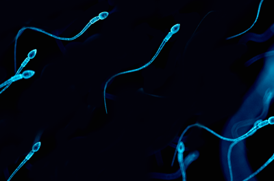 Getting pregnant with low sperm count: How oligospermia can affect fertility