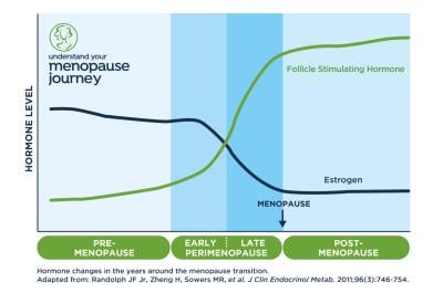 The Science behind the Clearblue® Menopause Stage Indicator