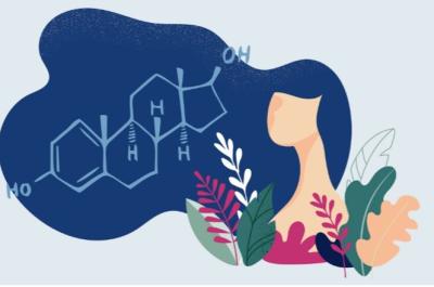 What is estrogen? Understanding its roles and typical levels