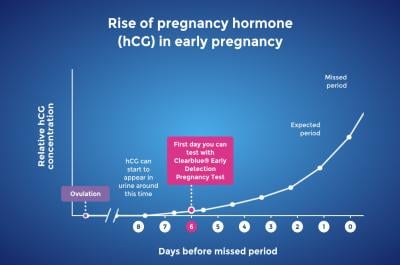 When can I take a pregnancy test?