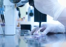 What is in vitro fertilization (IVF) and how does it work?