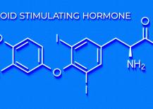 What is TSH, the thyroid stimulating hormone?