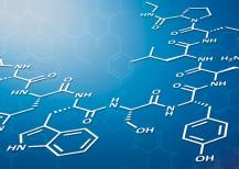 What is luteinizing hormone (LH)?