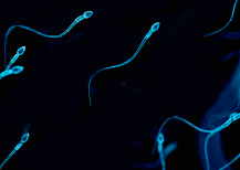 Getting pregnant with low sperm count: How oligospermia can affect fertility