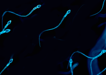 Signs of low sperm count and how it can affect fertility