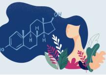 What is estrogen? Understanding its roles and typical levels