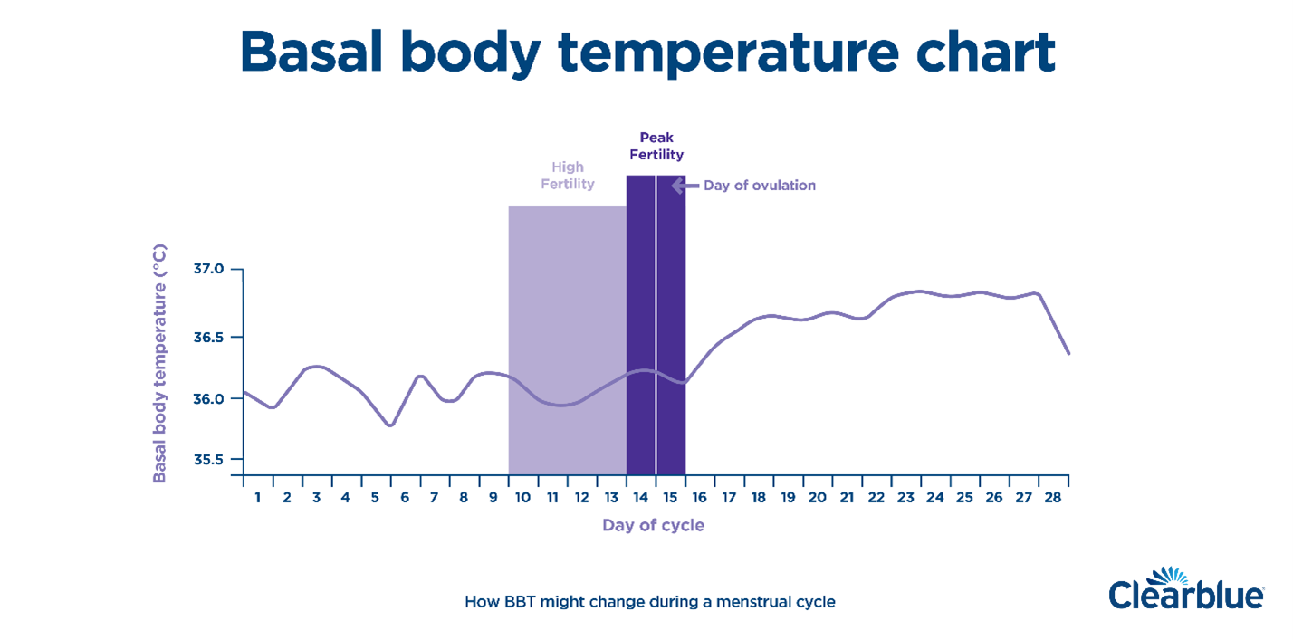 Basal Metabolic Temperature Chart