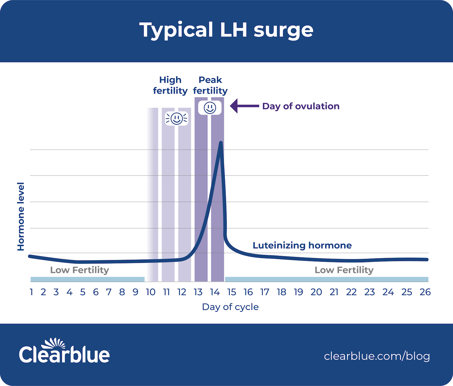 LH Quiz