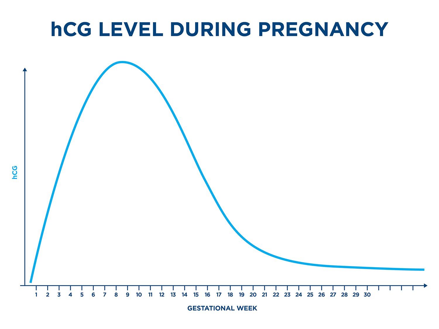 Hcg Levels All You Need To Know Clearblue 