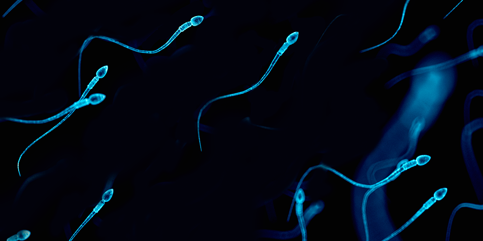 Tips for Getting Pregnant with a Low Sperm Count Clearblue® wife 960x480 hq nude picture Tips for Getting Pregnant with a Low Sperm Count Clearblue® image