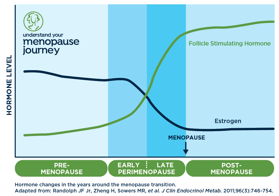 An illustration showing hormone levels during menopause