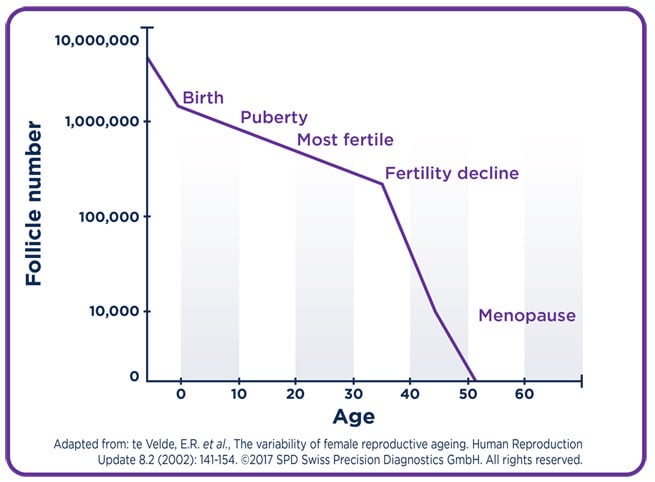 Women S Biological Clock Chart