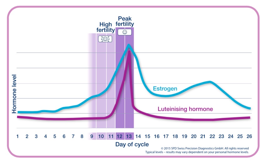 Typical hormone levels during the menstrual cycle