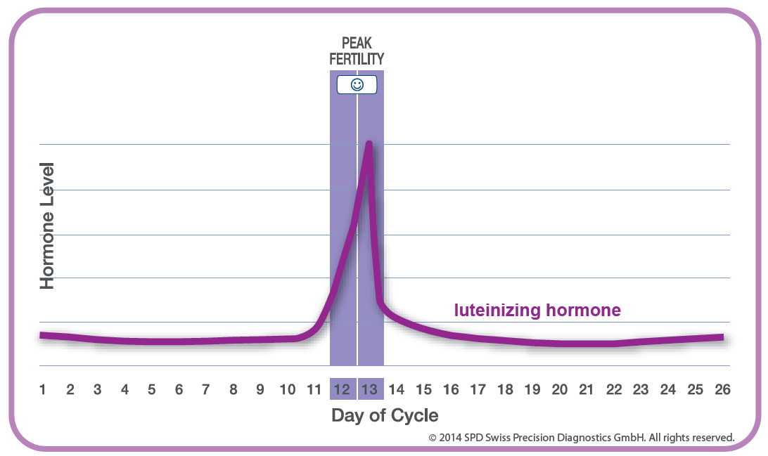 Typical LH surge during menstrual cycle