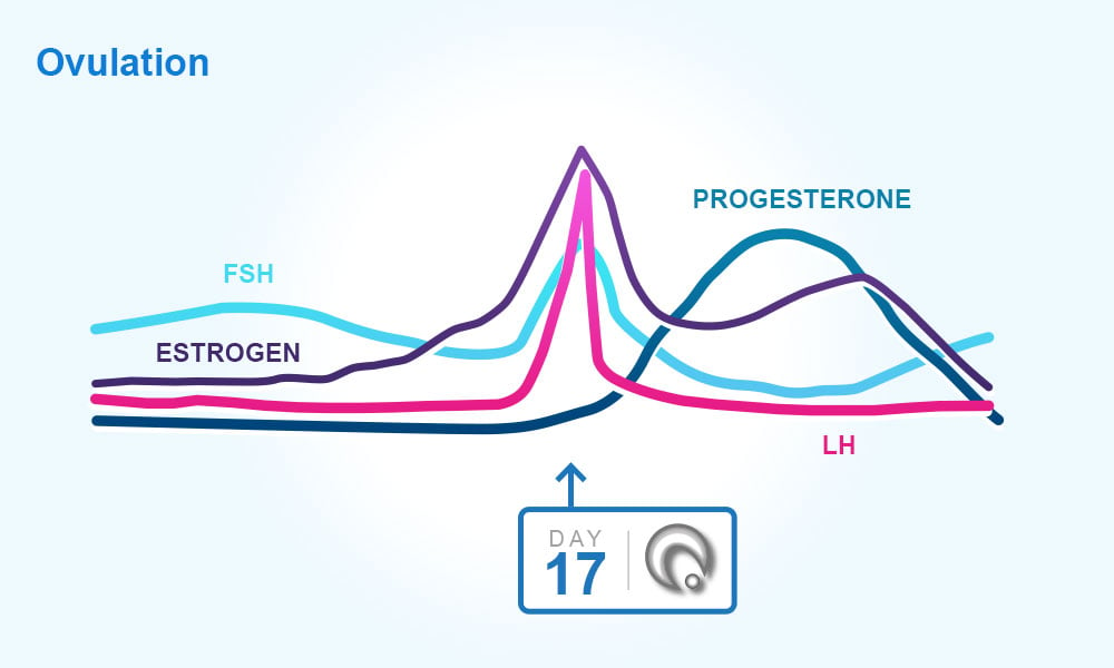 Chart My Ovulation Cycle