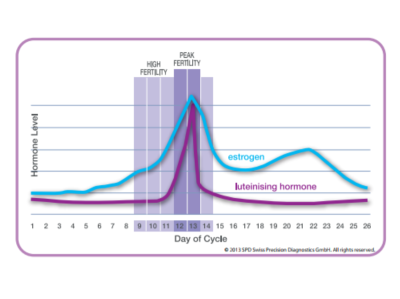Estrogen And Lh Surge Chart