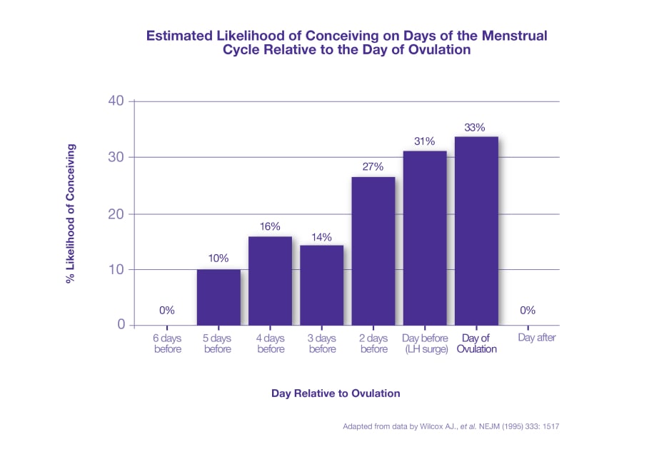 Fertility and conception infographics