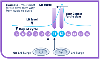 Clear Blue Ovulation Test Chart