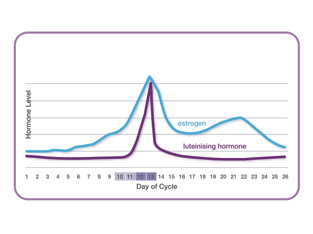 Clear Blue Ovulation Test Chart