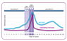 Identifica una media di 4 giorni fertili