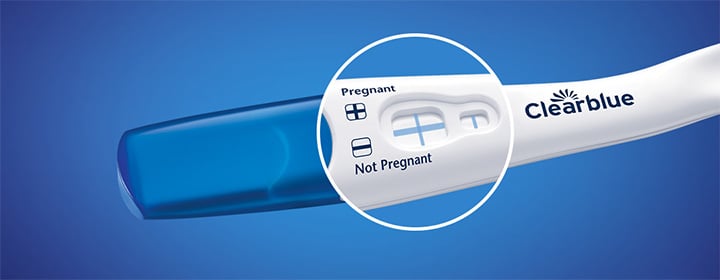 Clearblue Rapid Detection Pregnancy Test (Results 5 Days Sooner), 2 Pa —  Mountainside Medical Equipment