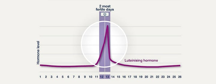 Digital Ovulation Test: Identify Your 2 Most Fertile Days – Clearblue