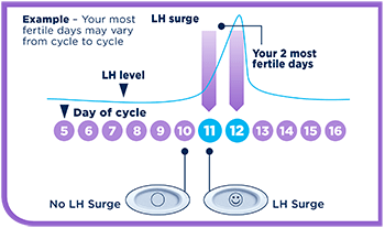 Ovulation Test Plus Pregnancy Test First Response