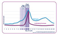 What Is Ovulation The What When And How Clearblue